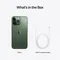 Apple iPhone 13 Pro 1TB Alpine Green (Альпийский зелёный)