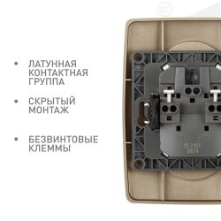 Розетка ЭРА Серия 12 12-2107-04 двойная без заземления 2X2P 16A-250В IP20 шампань | Розетки и выключатели