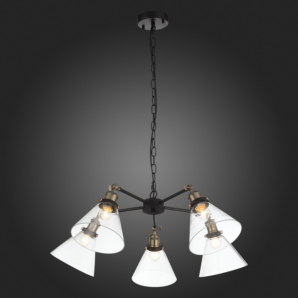 Люстра подвесная ST Luce Evoluto SL237.413.05