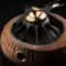 Meze 109 Pro Primal Walnut Wood