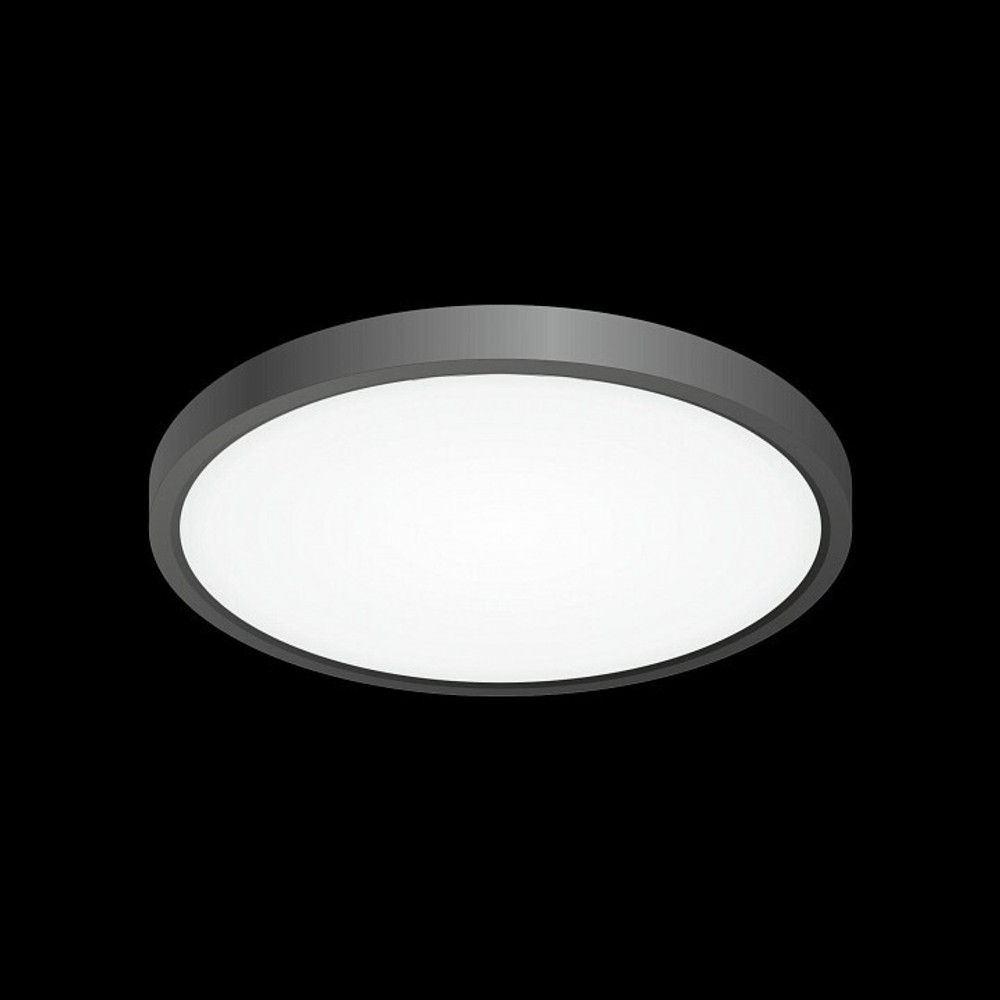 Накладной светильник Citilux Бейсик CL738241V