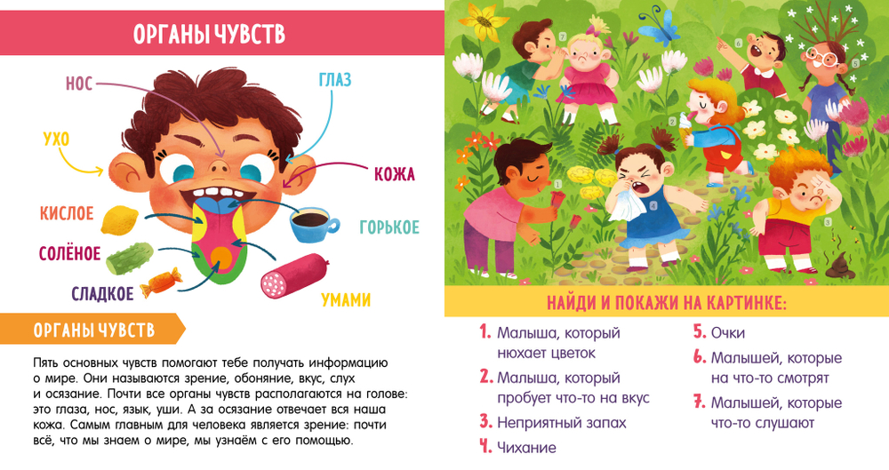 Найди и покажи, малыш. Моё тело