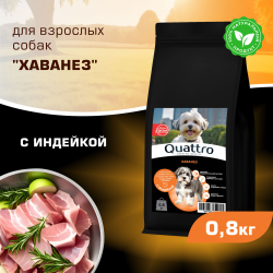 Корм сухой для взрослых собак породы Хаванез, с индейкой, 800 гр, QUATTRO