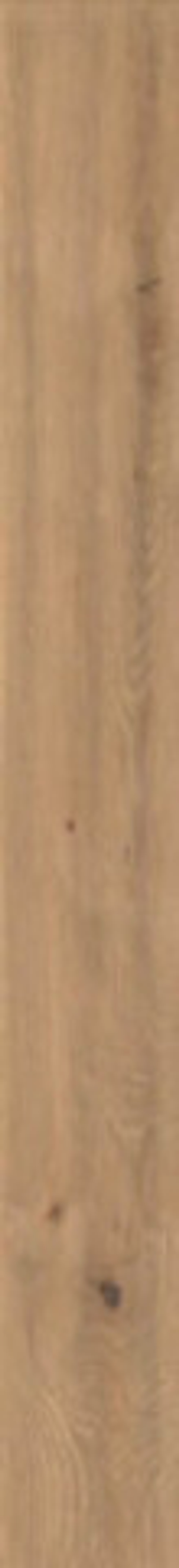 Керамогранит Log Icon Oak (AX5T)