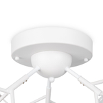 Потолочная люстра Freya Florencia FR5049CL-27W1