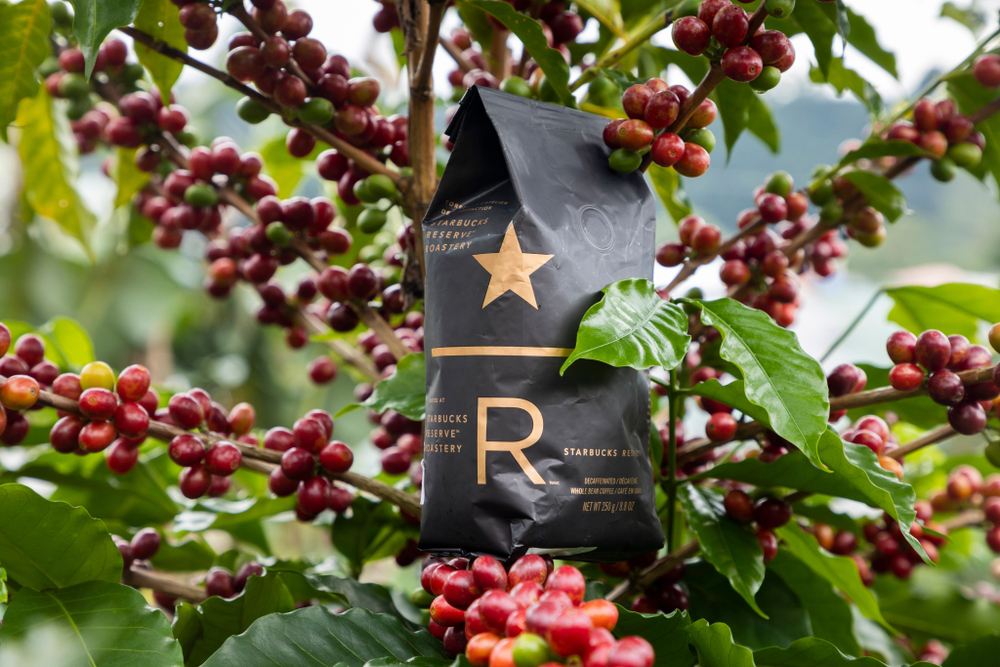 Starbucks Reserve Кофе в зернах Costa Rica Hacienda Alsacia 2024 год 250 г (из ОАЭ)