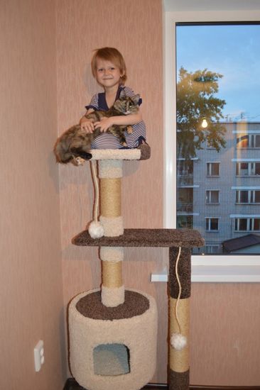 Игровой комплекс для кошки Д-2