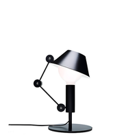 Mr. Light