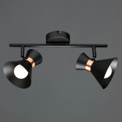 Спот Arte Lamp BALTIMORE A1406AP-2BK, 2хE14