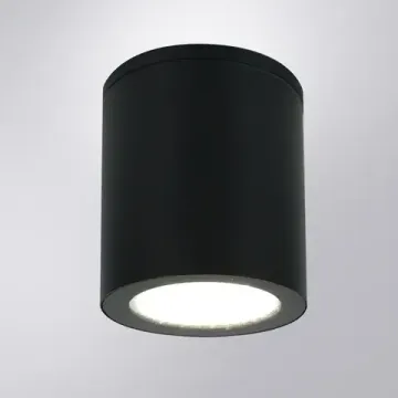 Уличный потолочный светильник 13W 2700-4000K A1313PF-1BK черный Torcular Arte lamp
