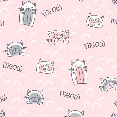 Cute cats