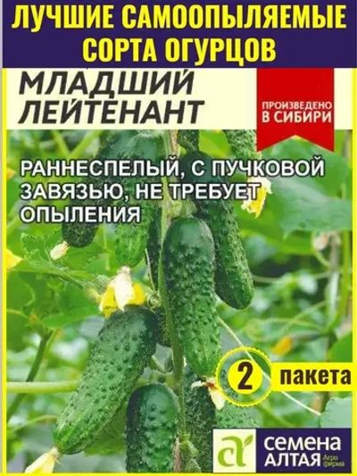 Семена огурцов Младший Лейтенант F1