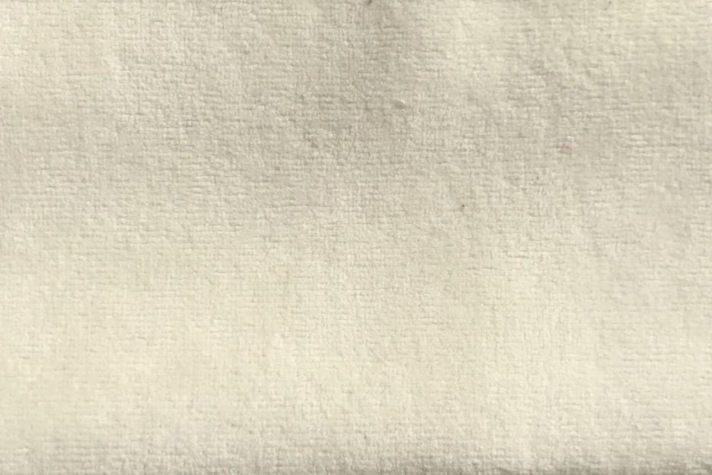 Тедди 01
