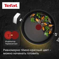 Кастрюля с крышкой Tefal Excellence Fusion 24 см G3414602