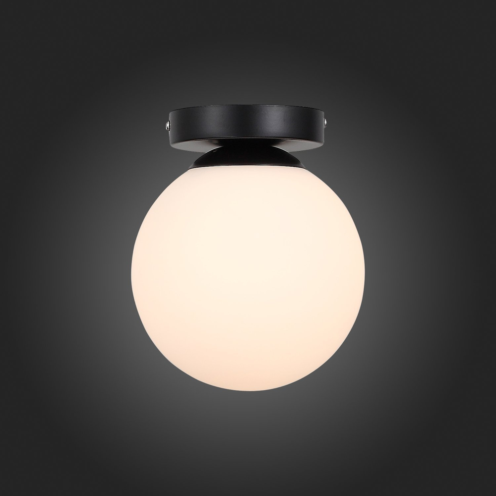 Светильник настенный ST Luce Acini SL717.401.01