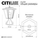Citilux FORTS CLU10С Уличный парковый светильник