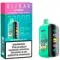 Elf Bar GH23000 - Watermelon lce (5% nic)