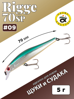 Воблер Минноу Rigge 70SP 70 мм 5 г цвет #09