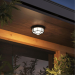 Уличный потолочный светильник Arte Lamp PEGASUS A3100PL-1BK