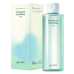Goodal Ice Heartleaf Hyaluron Soothing Toner 350ml