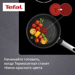 Индукционная сковорода Tefal Expertise+ 20 см G3330243