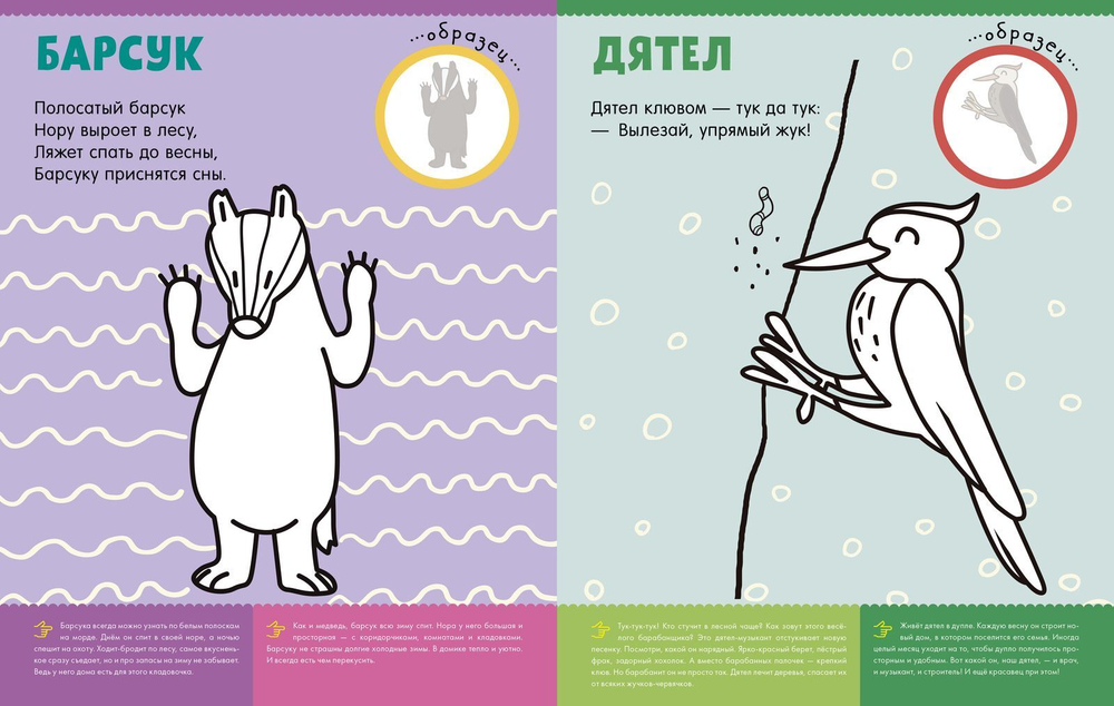 Первая раскраска с наклейками. Кто живёт в лесу?