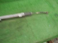 DSCN9501.JPG