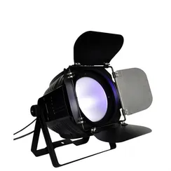 Прожектор Led Par COB 200 WW-CW