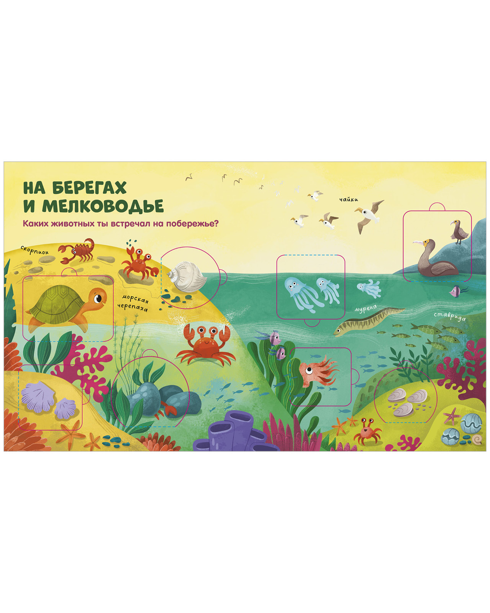 Книжка с окошками. Океаны и моря