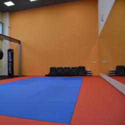 Татами JUDO