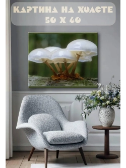Картина на стену 40 X 50 Грибы