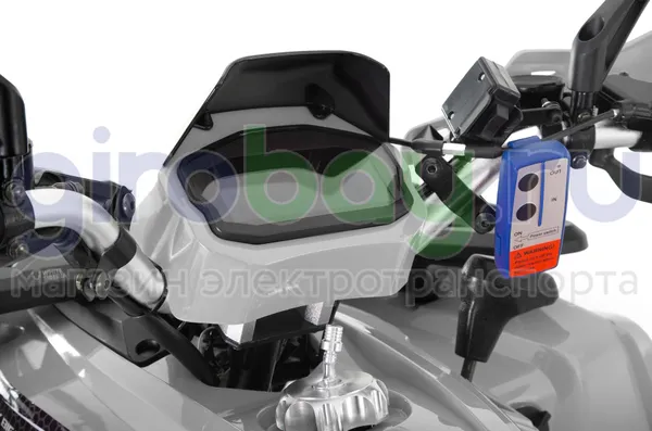 Бензиновый квадроцикл WHITE SIBERIA BARS 200CC PRO (Серый) фото №15