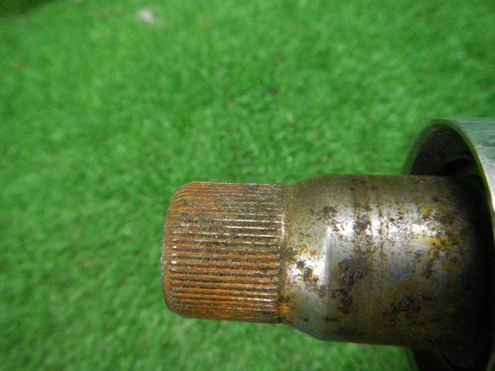DSCN6347.JPG