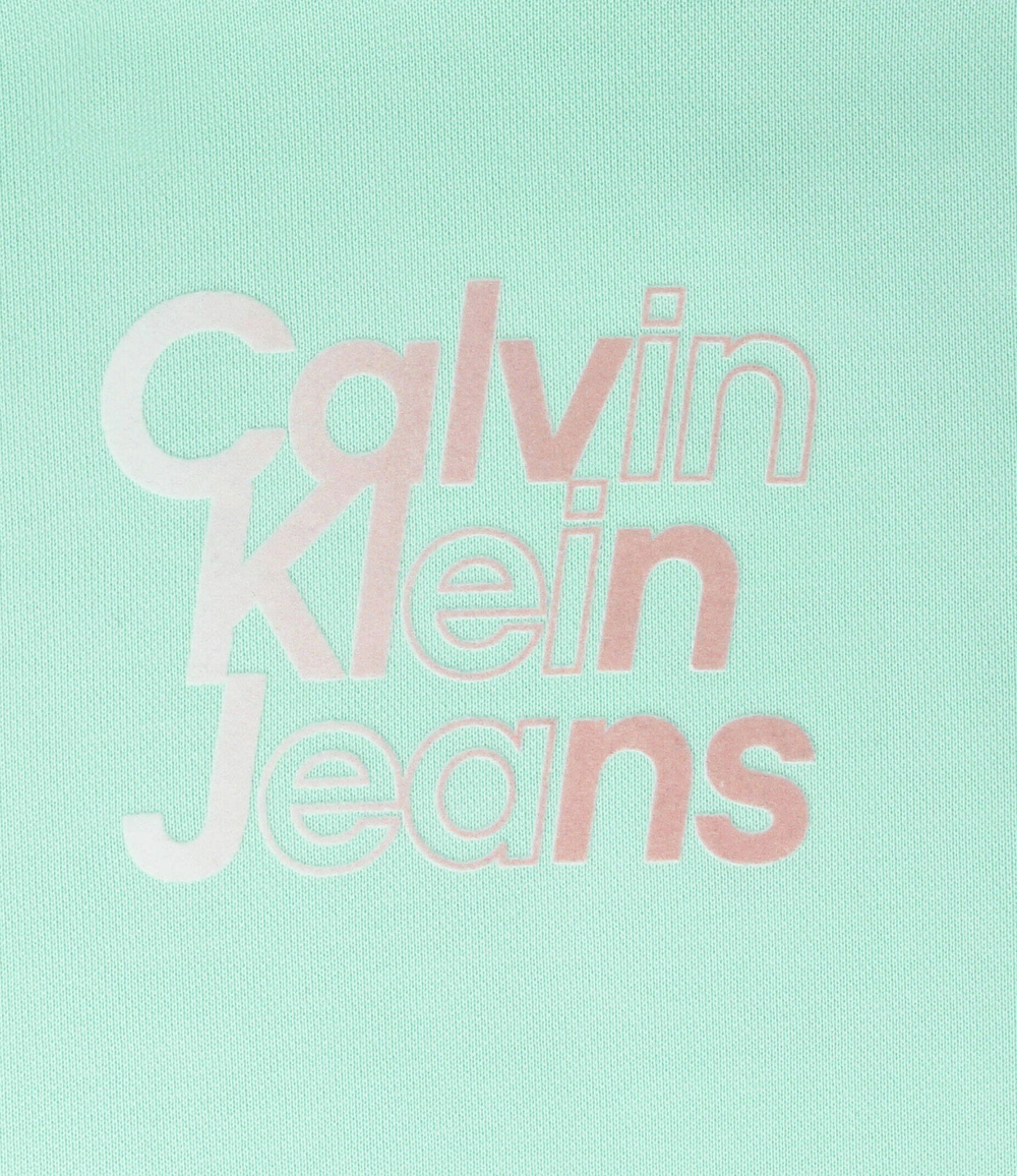 Худые Calvin Klein Jeans - мятный(IG0IG02422)