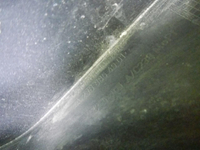 DSCN6670.jpg
