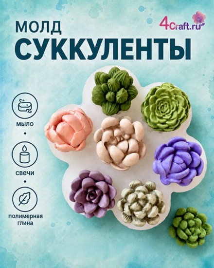 Молд Суккулент семицветик