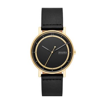 Мужские часы Skagen SKW6897