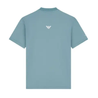 Мужское теннисное поло EA7 Man Jersey - silver pine