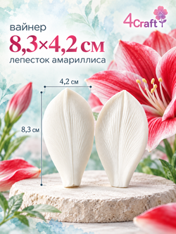 Вайнер лепесток Амариллиса