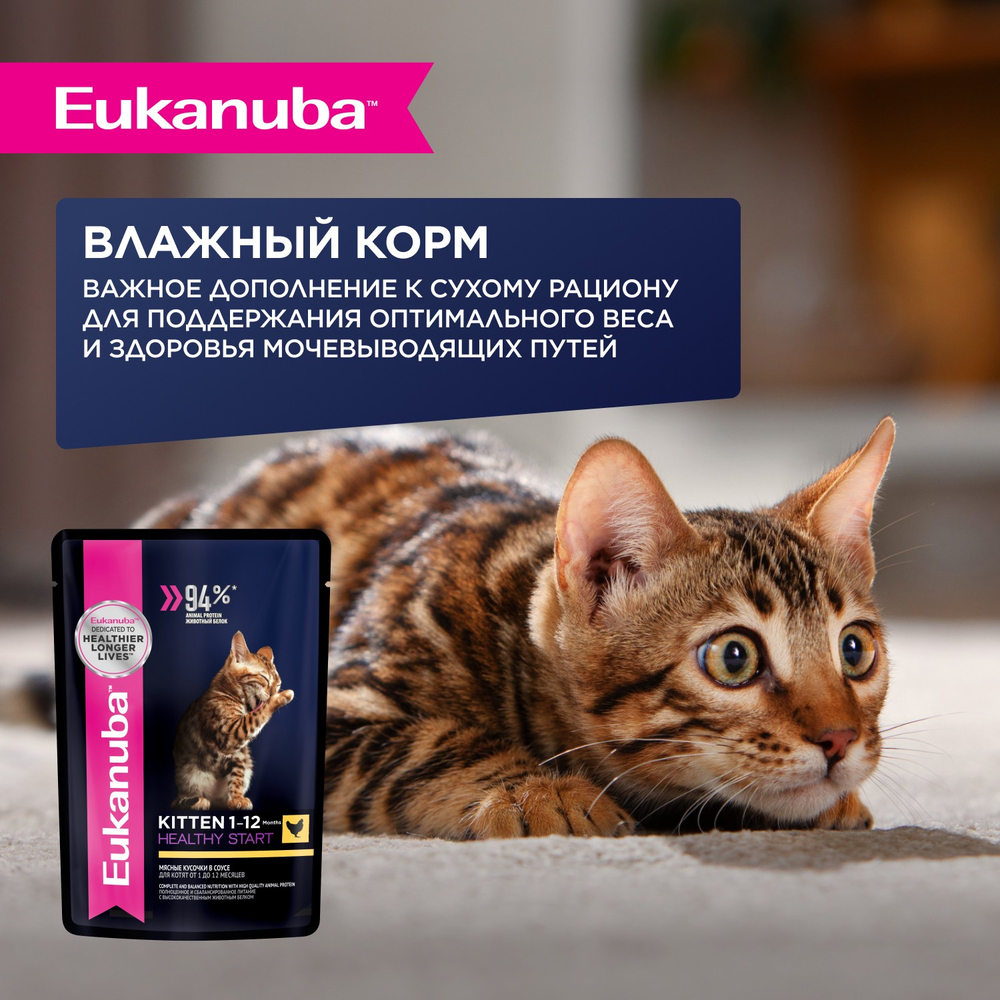КОРМ СУХОЙ ПОЛНОРАЦИОННЫЙ EUKANUBA® ДЛЯ КОТЯТ ОТ 1 ДО 12 МЕСЯЦЕВ БЕРЕМЕННЫХ И КОРМЯЩИХ КОШЕК ЗДОРОВЫЙ СТАРТ (КИТТЕН 1-12 МЕСЯЦЕВ ХЕЛСИСТА РТ) 400г
