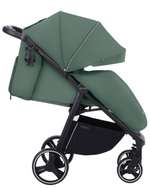 Коляска прогулочная Carrello Bravo (Spring Green)