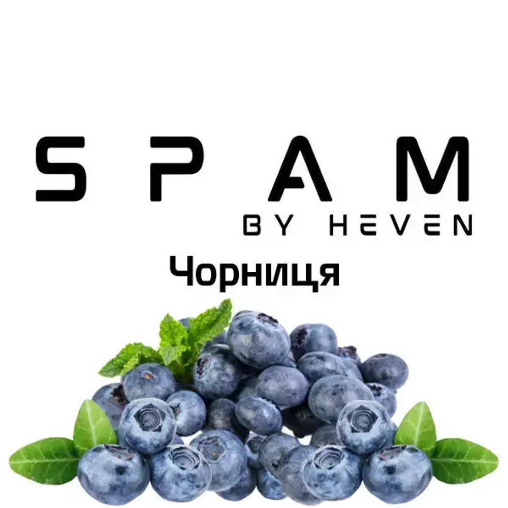 SPAM - Черника (200г)