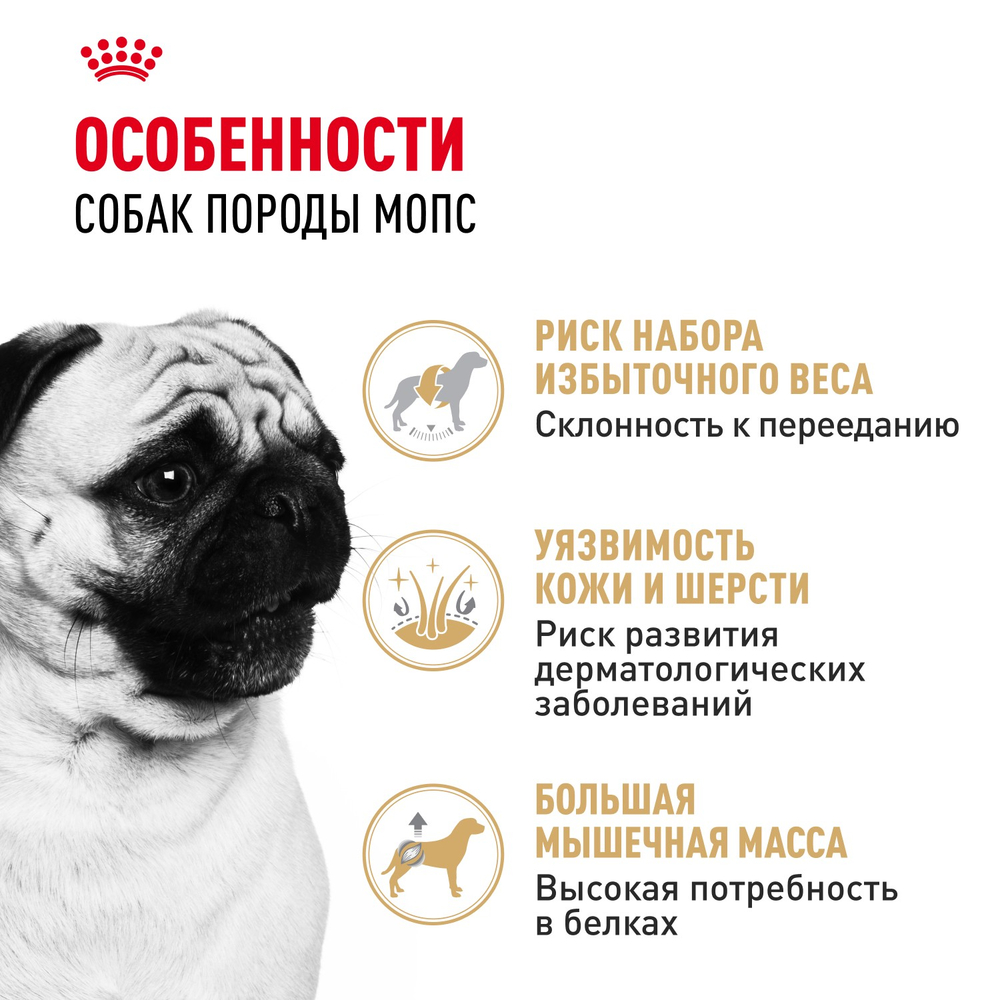 Royal Canin Pug Adult Мопс Эдалт Корм сухой для взрослых собак породы Мопс от 10 месяцев 500 г