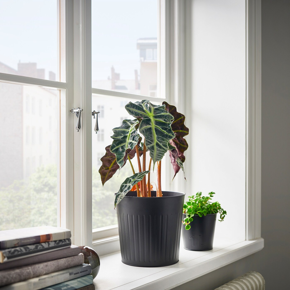 IKEA CITRONMELISS  (ИКЕА СИТРОНМЕЛИСС)  -  Подставка для посуды, внутренняя/наружная/антрацит, 19 см
