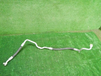 DSCN8676.JPG