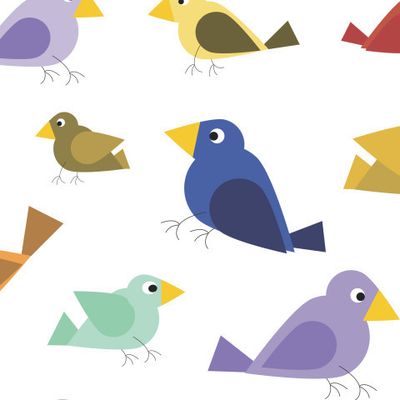 Flat birds