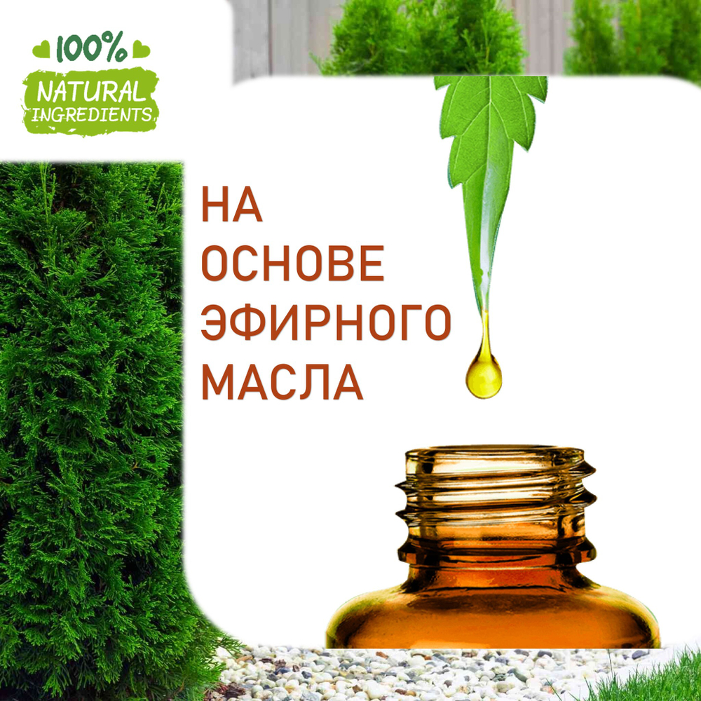 Туя, отдушка для свечей и мыла