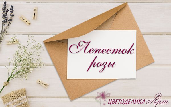 Упаковка ваших заказов Упаковка ваших заказов