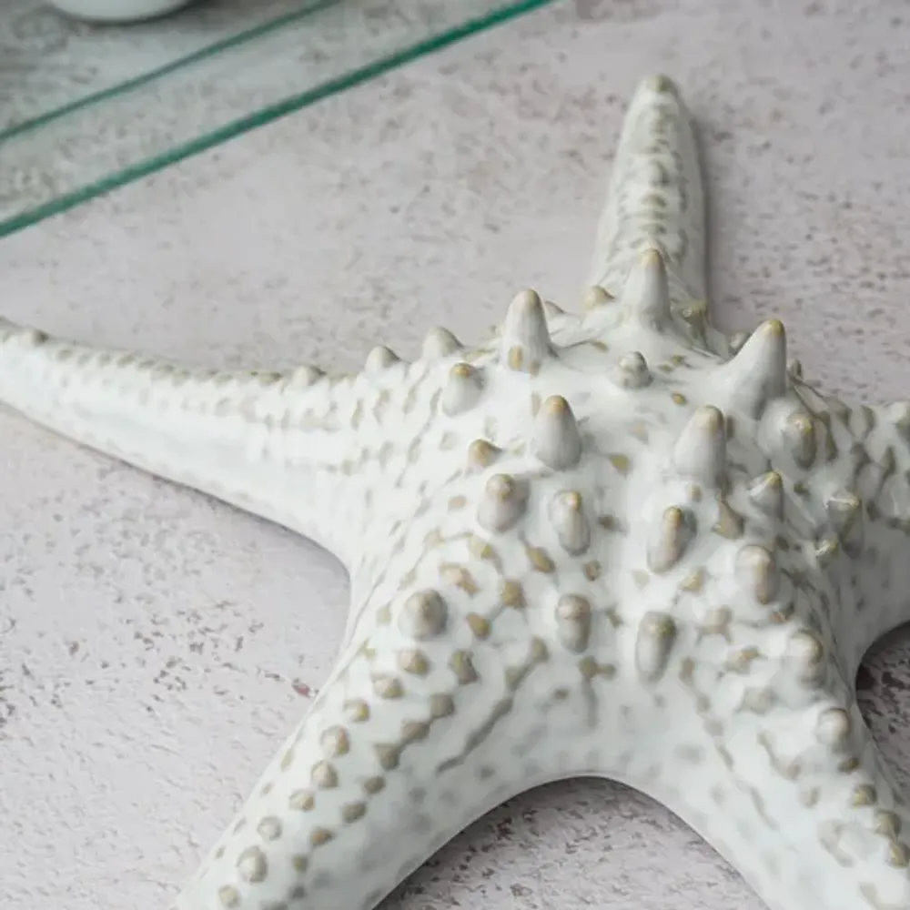 Блюдо для подачи 24 см h6 см для закусок Звезда Gray Starfish Frutti di Mare P.L. [1]