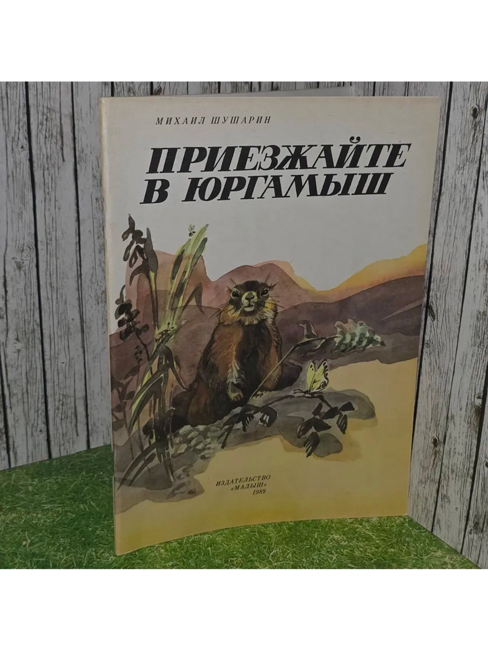 Приезжайте в Юргамыш. Шушарин М.